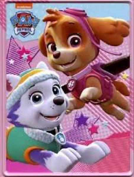 PAW PATRO AVENTURAS ENLATADAS